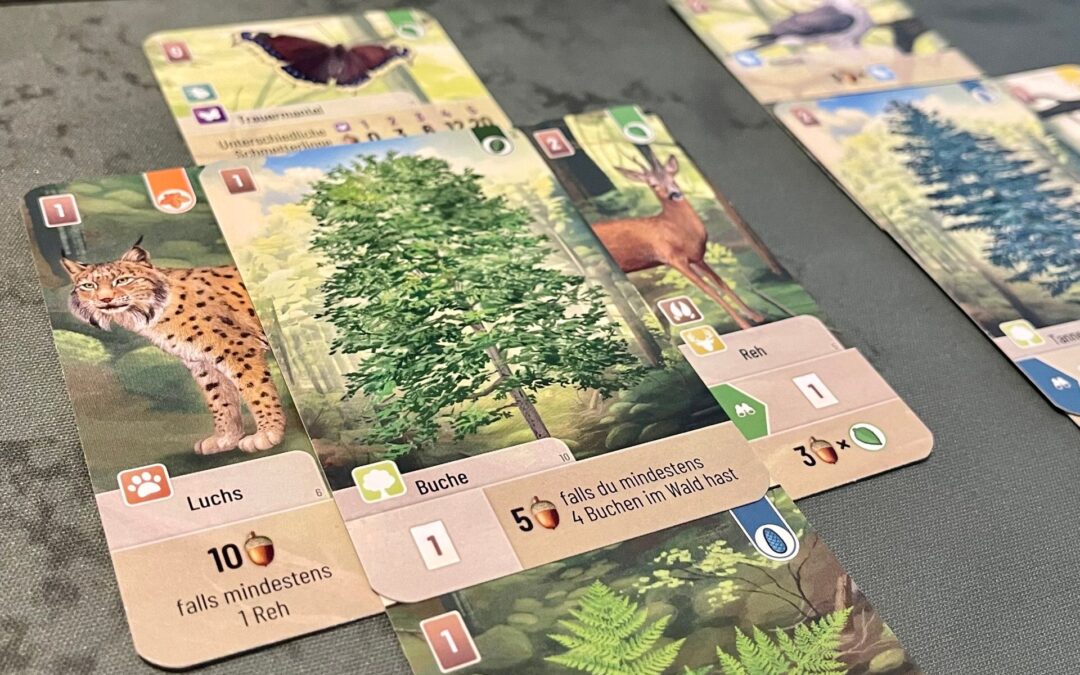 Mini-Rückblick auf Sonntag, den 02.03.2025