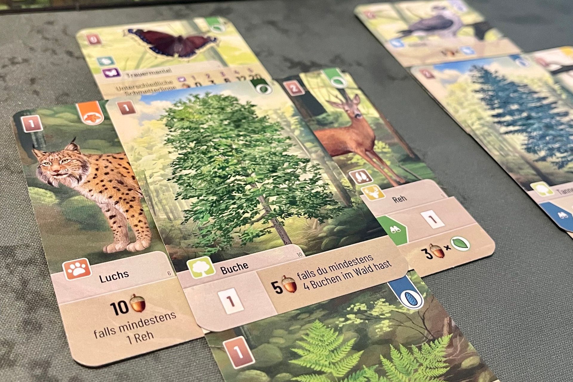 play-mischwald-lookout